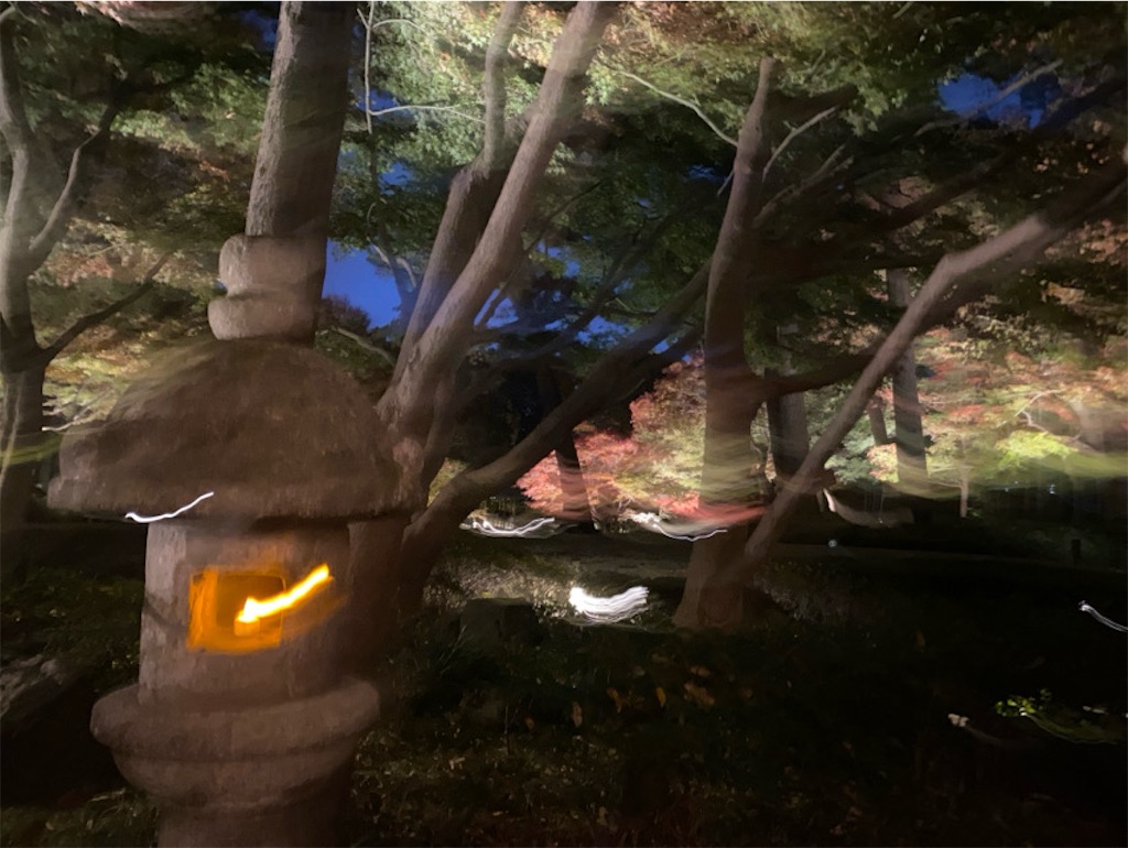 f:id:wakuwakushincha:20241206224349j:image