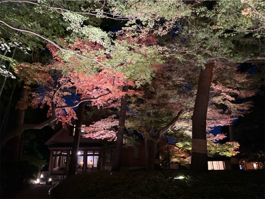 f:id:wakuwakushincha:20241206224400j:image