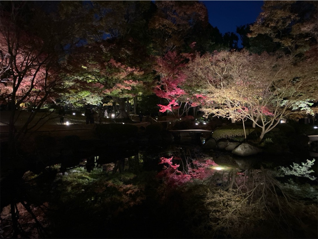 f:id:wakuwakushincha:20241206224411j:image
