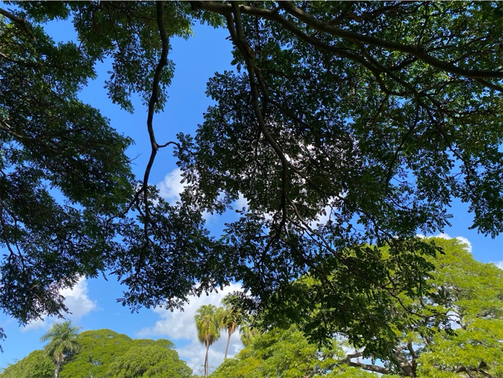 f:id:wakuwakushincha:20250312125657j:image f:id:wakuwakushincha:20250312125657j:image
