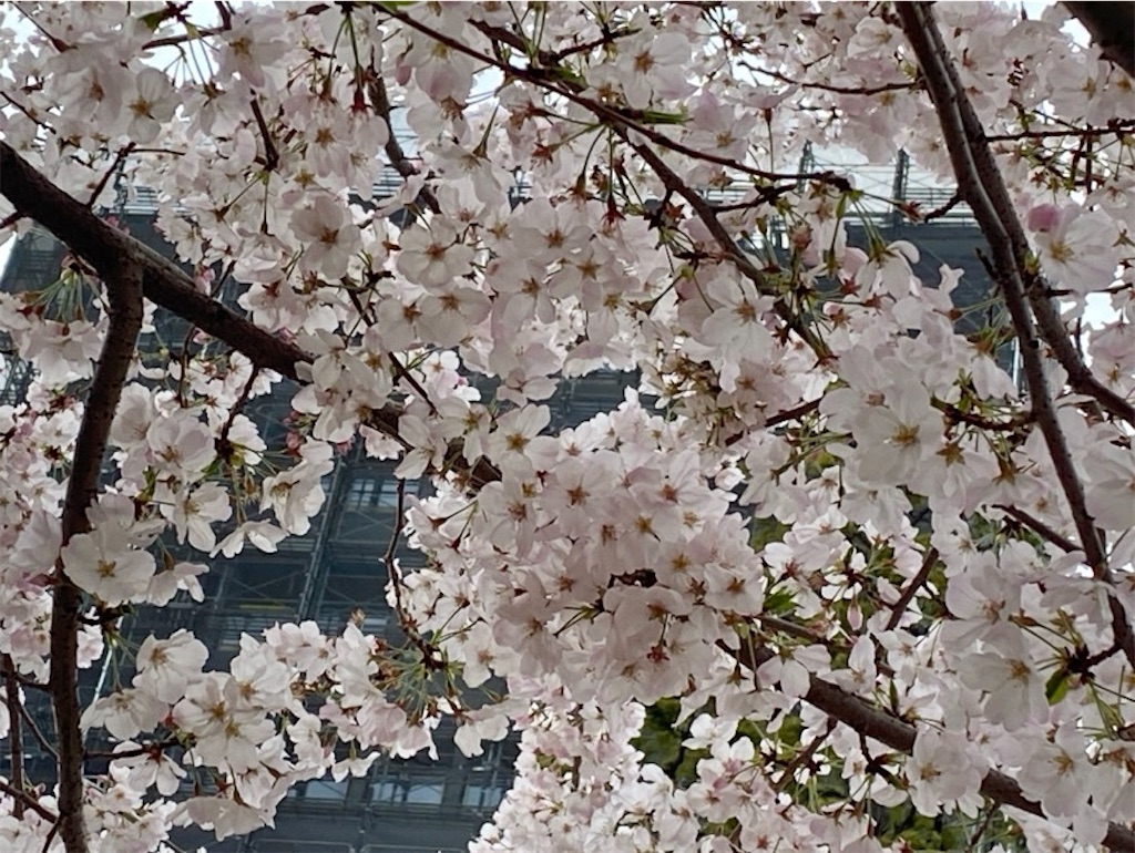 f:id:wakuwakushincha:20250331223156j:image f:id:wakuwakushincha:20250331223156j:image
