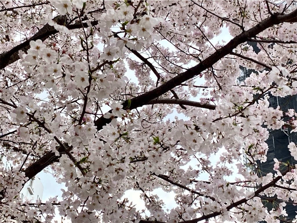 f:id:wakuwakushincha:20250331223210j:image f:id:wakuwakushincha:20250331223210j:image