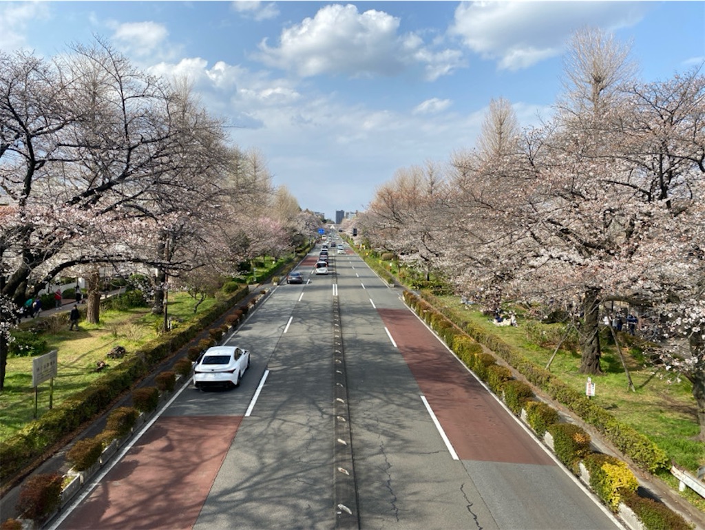f:id:wakuwakushincha:20250331223234j:image