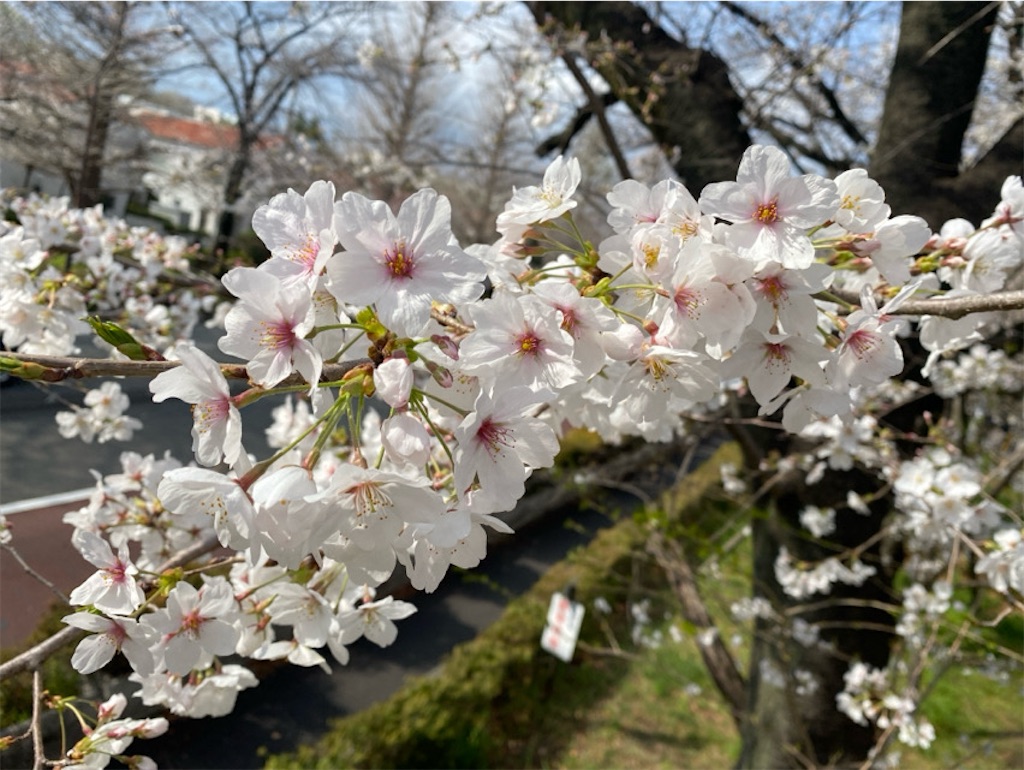 f:id:wakuwakushincha:20250331223326j:image f:id:wakuwakushincha:20250331223326j:image