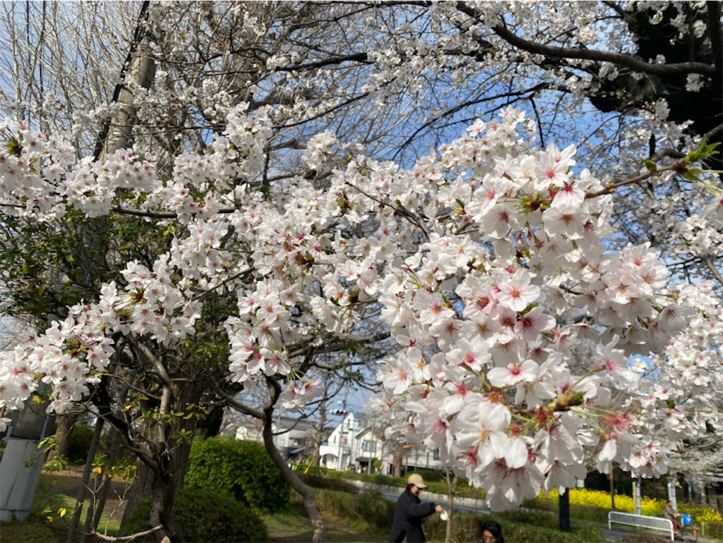 f:id:wakuwakushincha:20250331223521j:image f:id:wakuwakushincha:20250331223521j:image