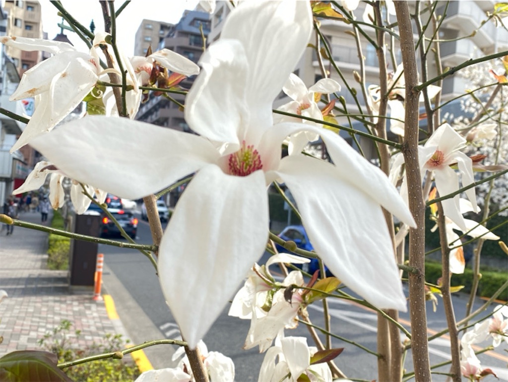 f:id:wakuwakushincha:20250405205248j:image f:id:wakuwakushincha:20250405205248j:image