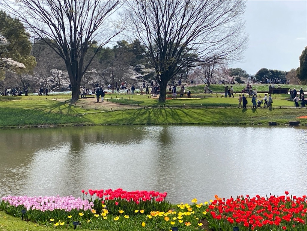 f:id:wakuwakushincha:20250405211213j:image
