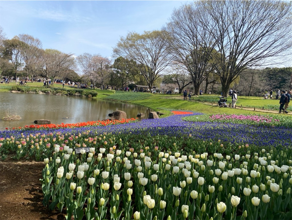 f:id:wakuwakushincha:20250405211216j:image