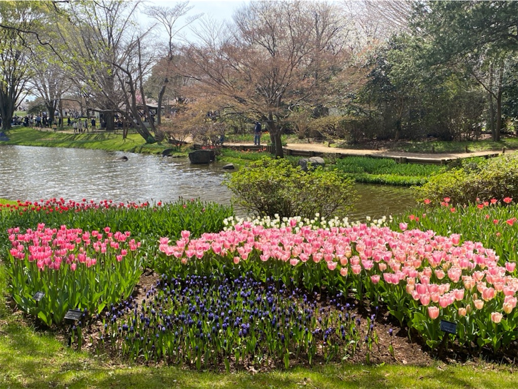 f:id:wakuwakushincha:20250405211220j:image