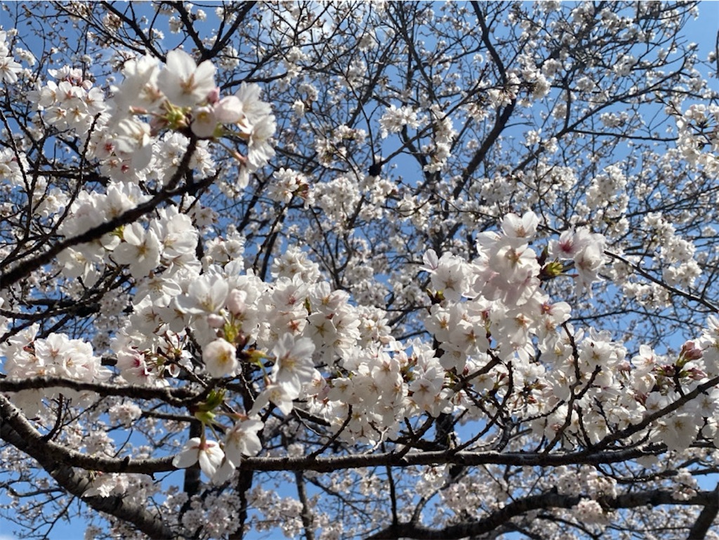 f:id:wakuwakushincha:20250405214548j:image f:id:wakuwakushincha:20250405214548j:image