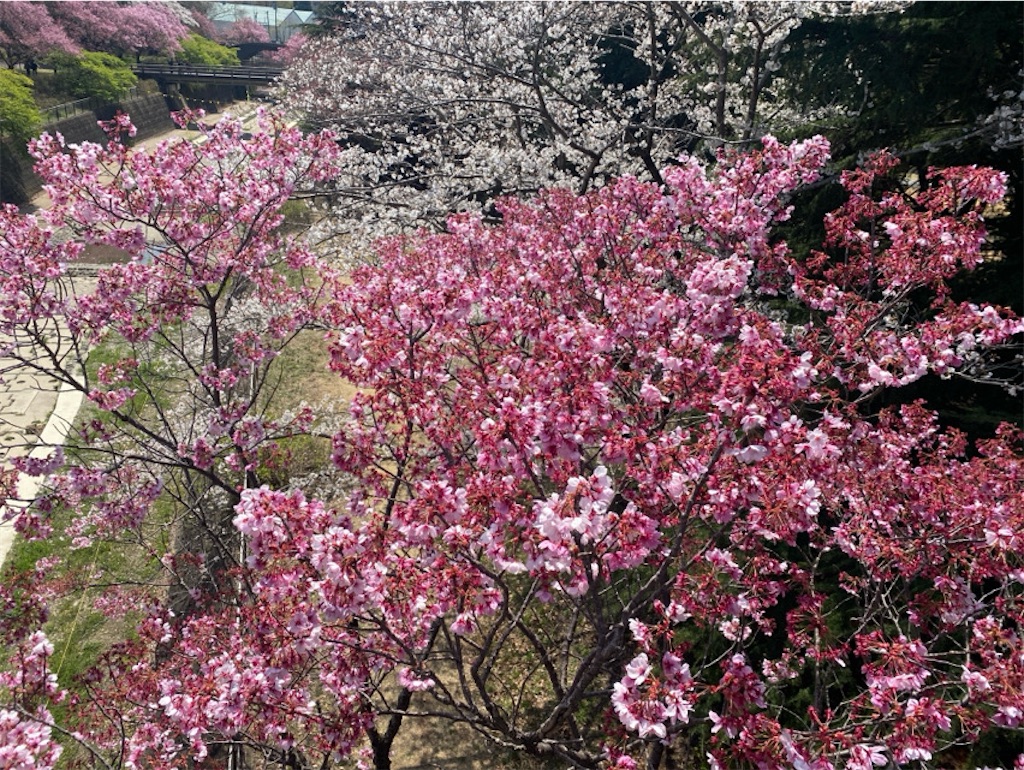 f:id:wakuwakushincha:20250405214551j:image f:id:wakuwakushincha:20250405214551j:image