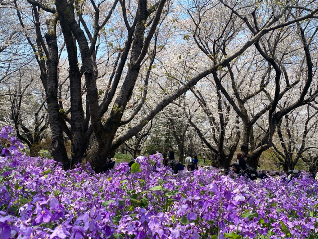 f:id:wakuwakushincha:20250405215537j:image