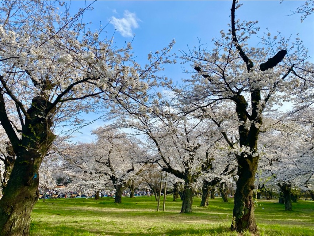 f:id:wakuwakushincha:20250405230518j:image