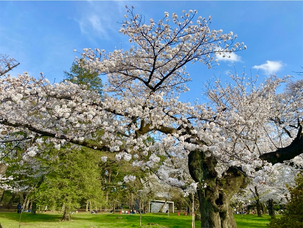 f:id:wakuwakushincha:20250405230522j:image