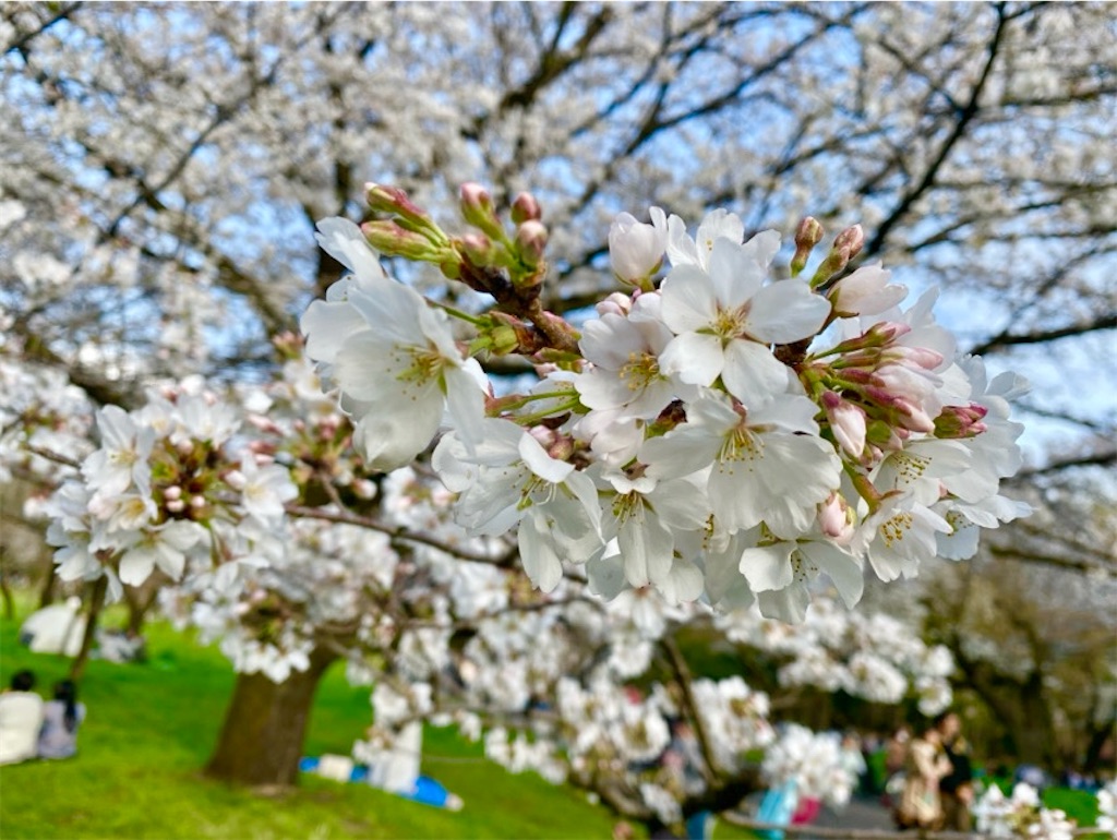f:id:wakuwakushincha:20250405231139j:image f:id:wakuwakushincha:20250405231139j:image