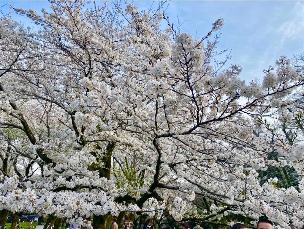 f:id:wakuwakushincha:20250405231244j:image f:id:wakuwakushincha:20250405231244j:image