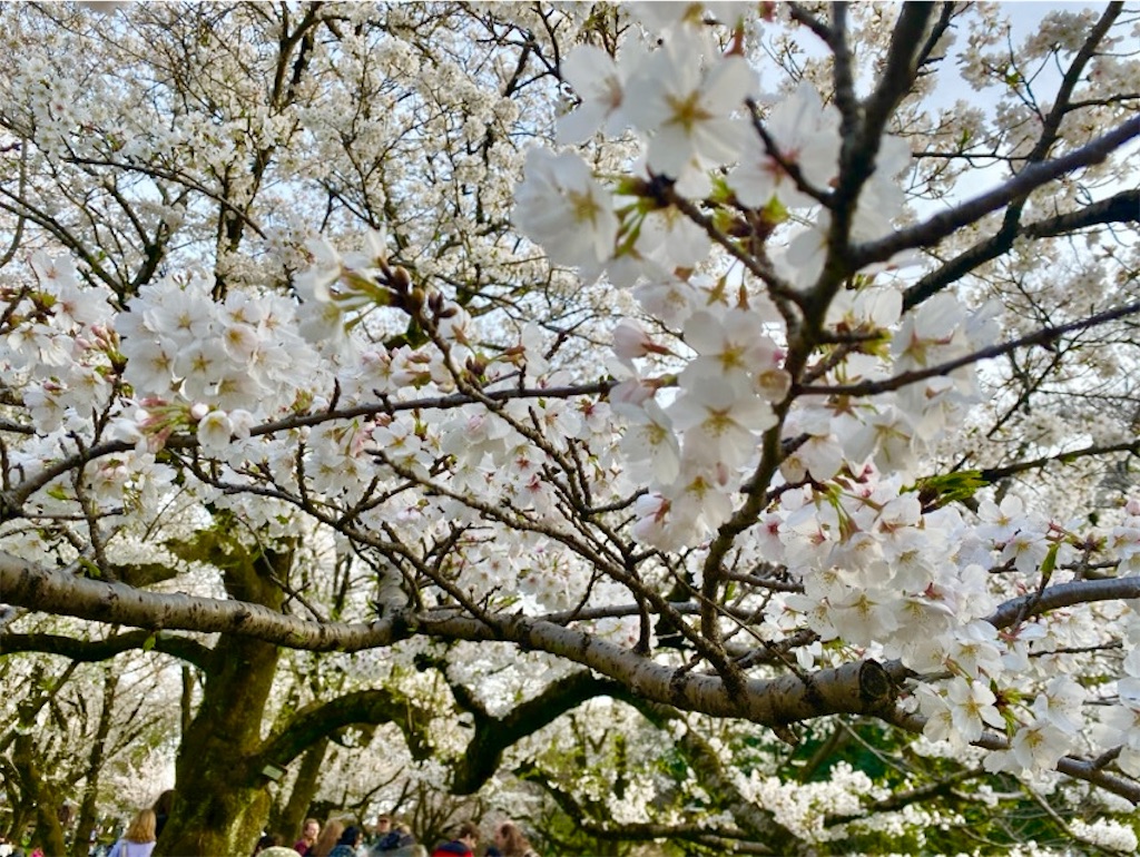 f:id:wakuwakushincha:20250405231248j:image f:id:wakuwakushincha:20250405231248j:image