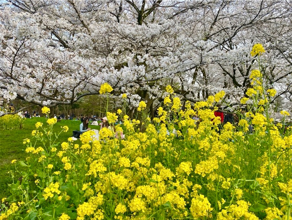 f:id:wakuwakushincha:20250405231350j:image