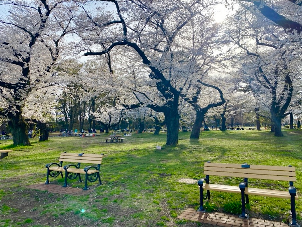 f:id:wakuwakushincha:20250405234451j:image f:id:wakuwakushincha:20250405234451j:image