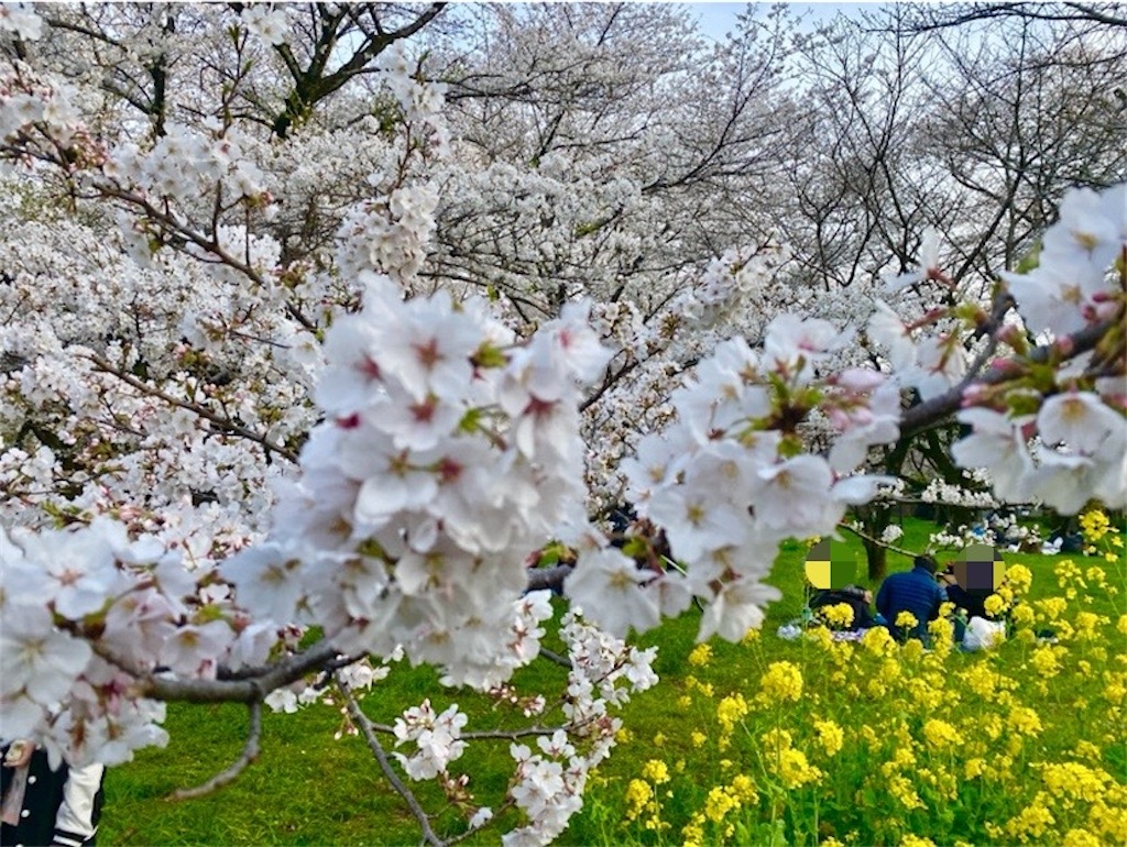 f:id:wakuwakushincha:20250405235237j:image