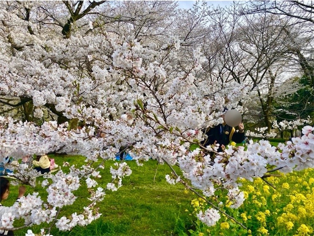 f:id:wakuwakushincha:20250406000039j:image