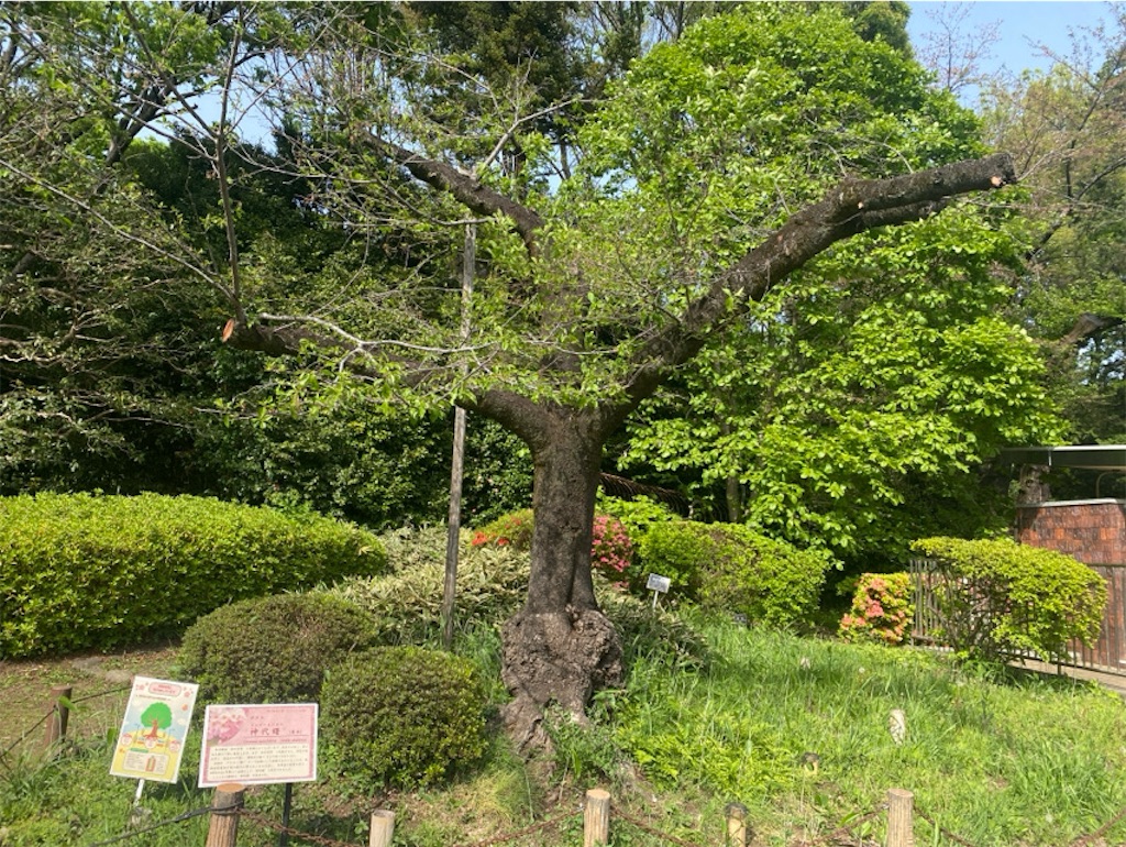 f:id:wakuwakushincha:20250420003522j:image f:id:wakuwakushincha:20250420003522j:image