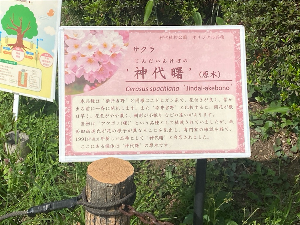 f:id:wakuwakushincha:20250420003526j:image f:id:wakuwakushincha:20250420003526j:image