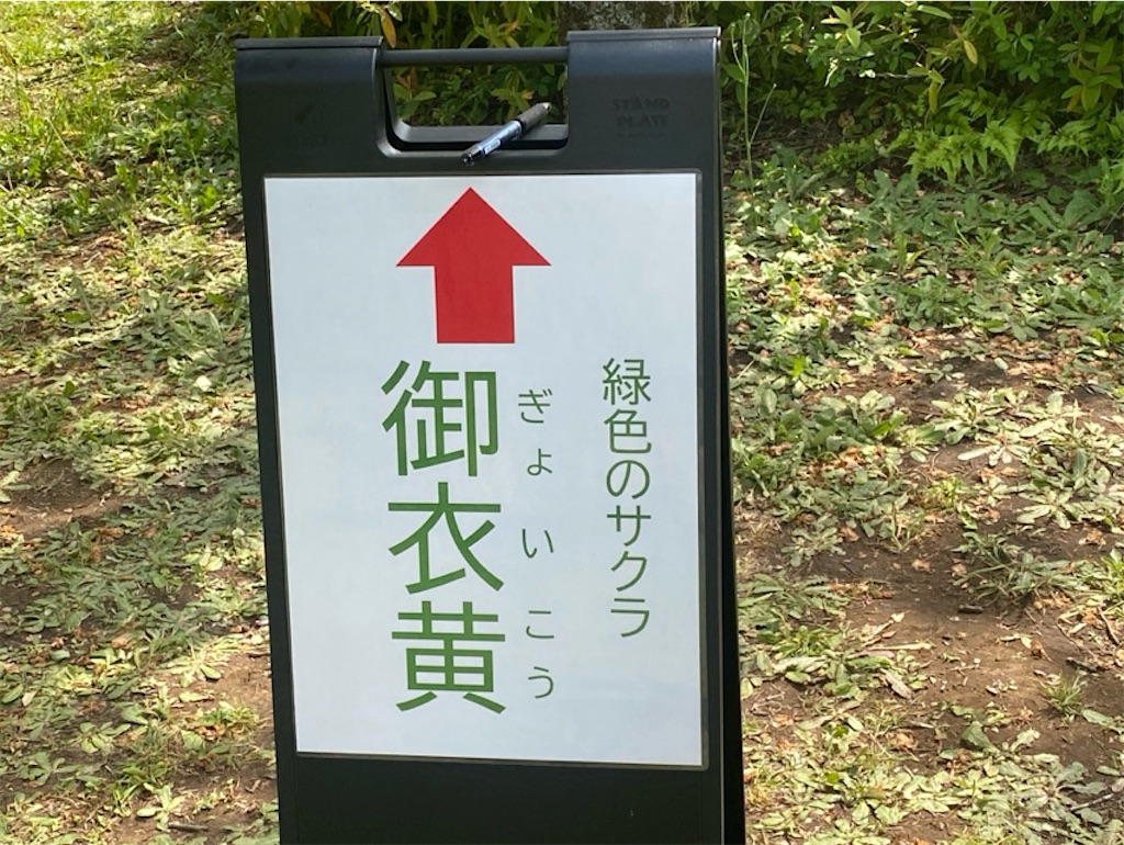 f:id:wakuwakushincha:20250420163038j:image