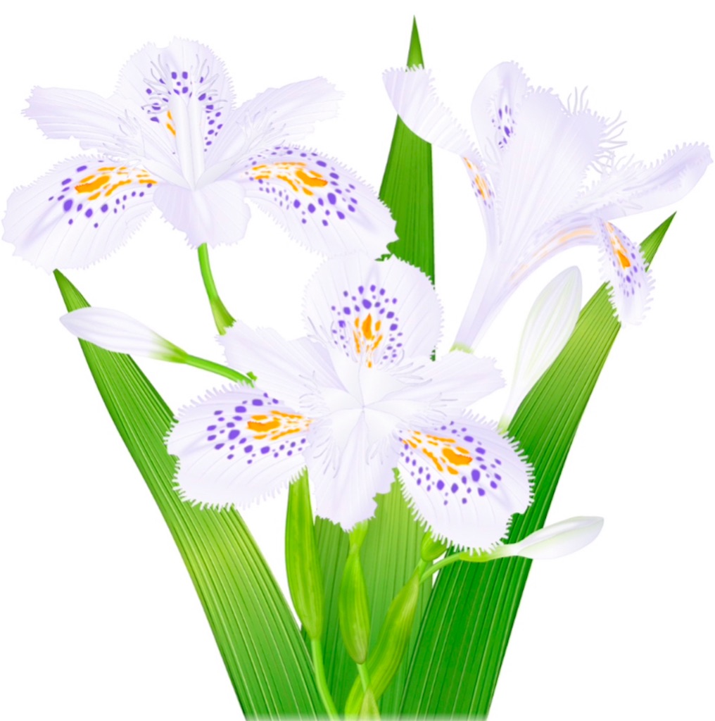 f:id:wakuwakushincha:20250420204934j:image f:id:wakuwakushincha:20250420204934j:image