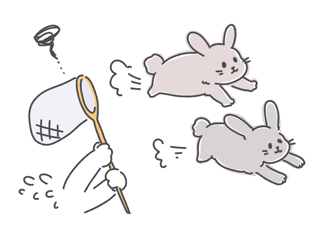 f:id:wakuwakushincha:20250515144627j:image
