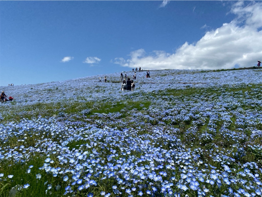 f:id:wakuwakushincha:20250524220453j:image
