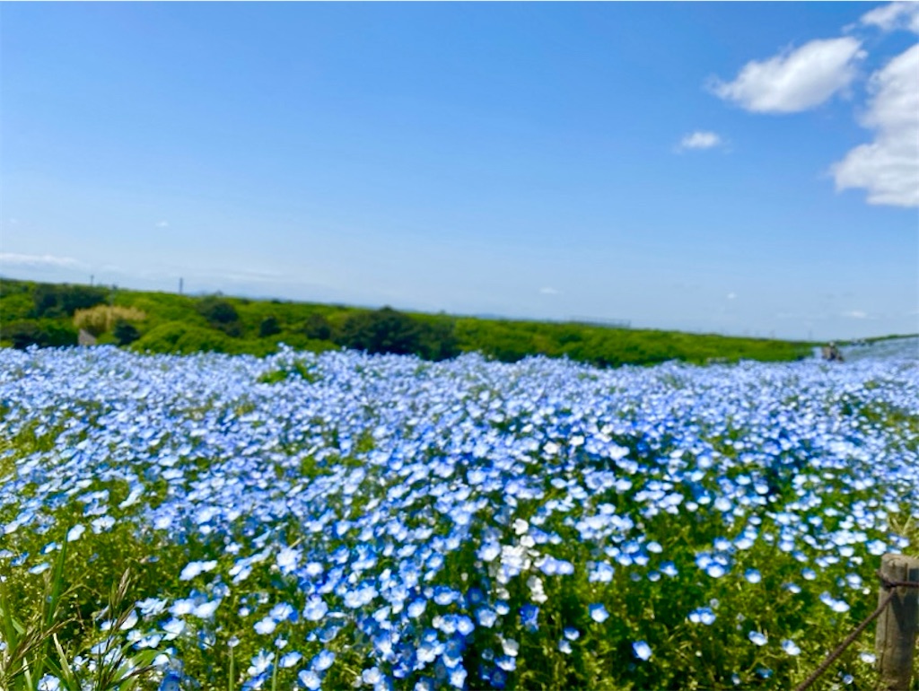 f:id:wakuwakushincha:20250524220538j:image
