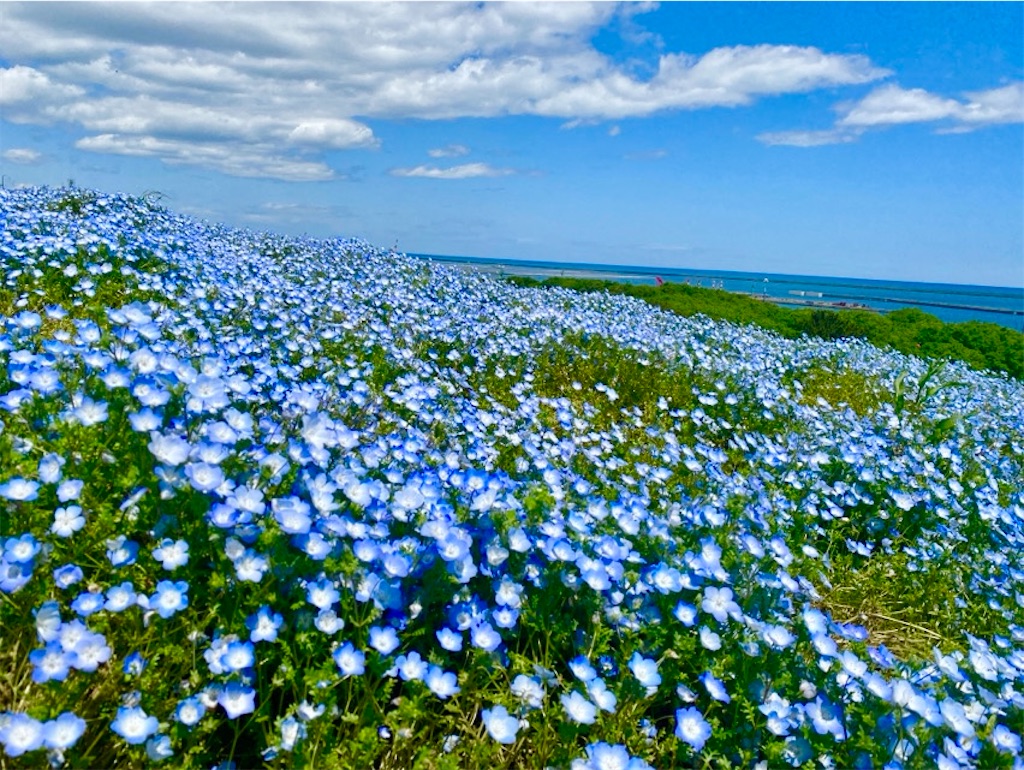 f:id:wakuwakushincha:20250524220541j:image