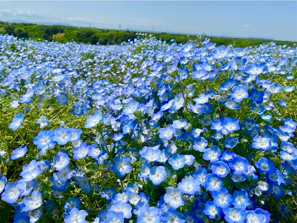 f:id:wakuwakushincha:20250524220749j:image