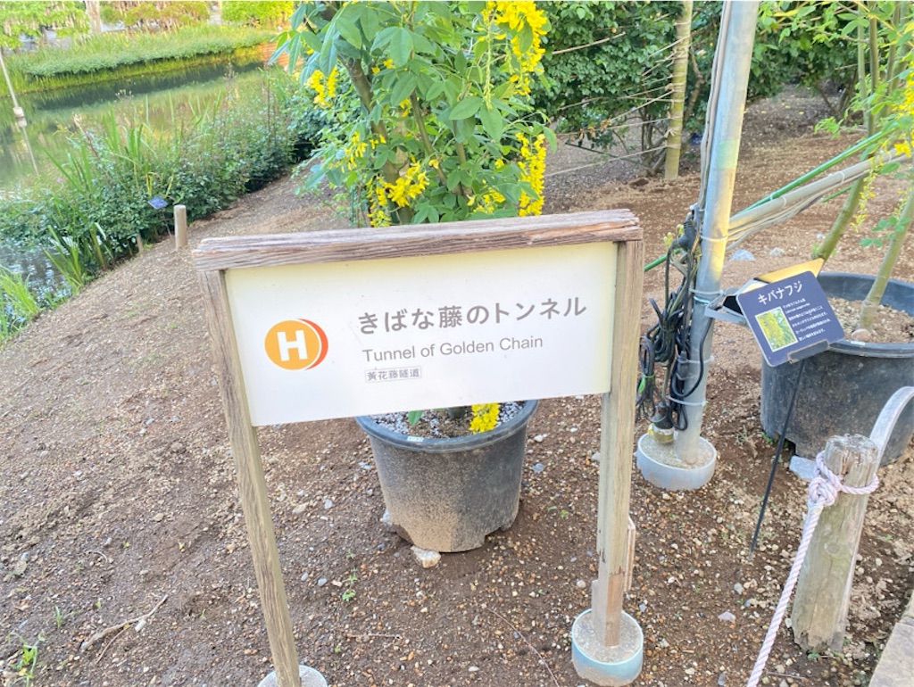 f:id:wakuwakushincha:20250525123438j:image