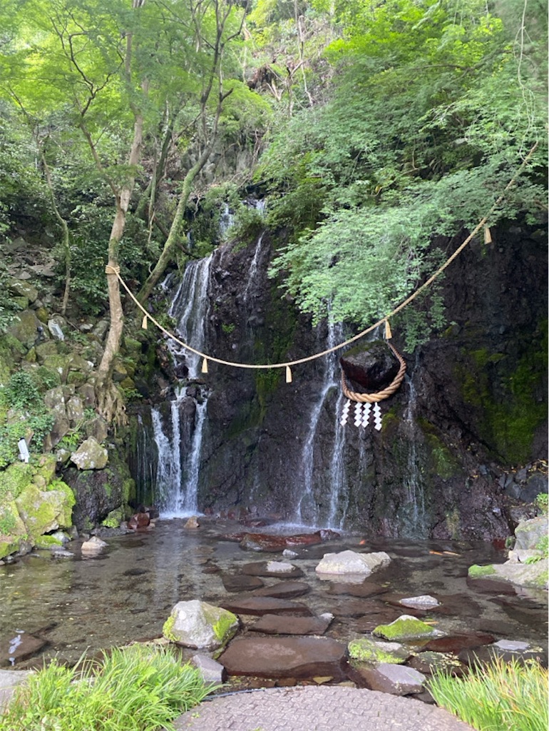 f:id:wakuwakushincha:20250629232339j:image
