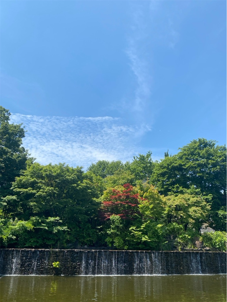 f:id:wakuwakushincha:20250630003549j:image