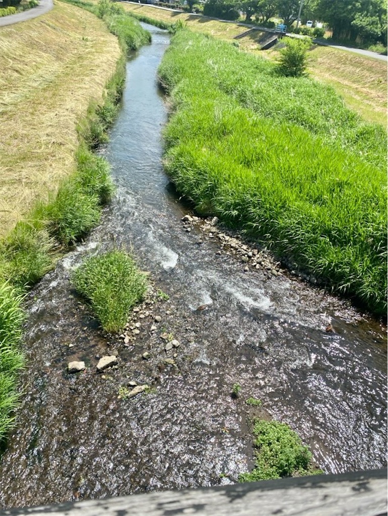 f:id:wakuwakushincha:20251007231226j:image f:id:wakuwakushincha:20251007231226j:image