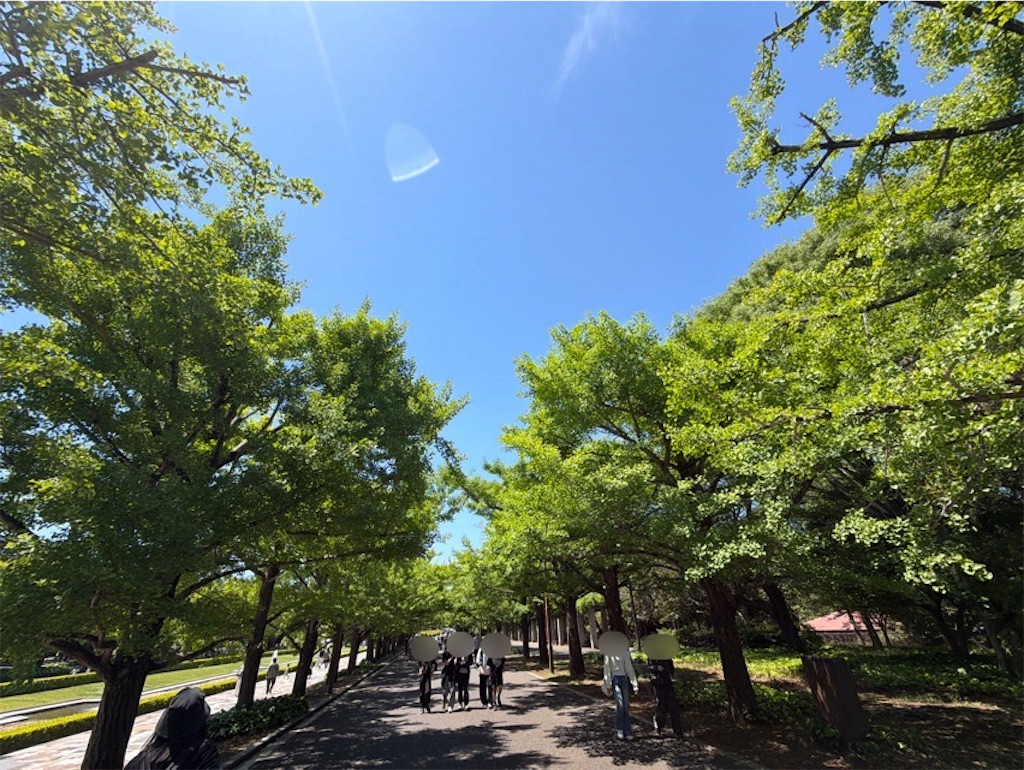 f:id:wakuwakushincha:20260521234720j:image f:id:wakuwakushincha:20260521234720j:image