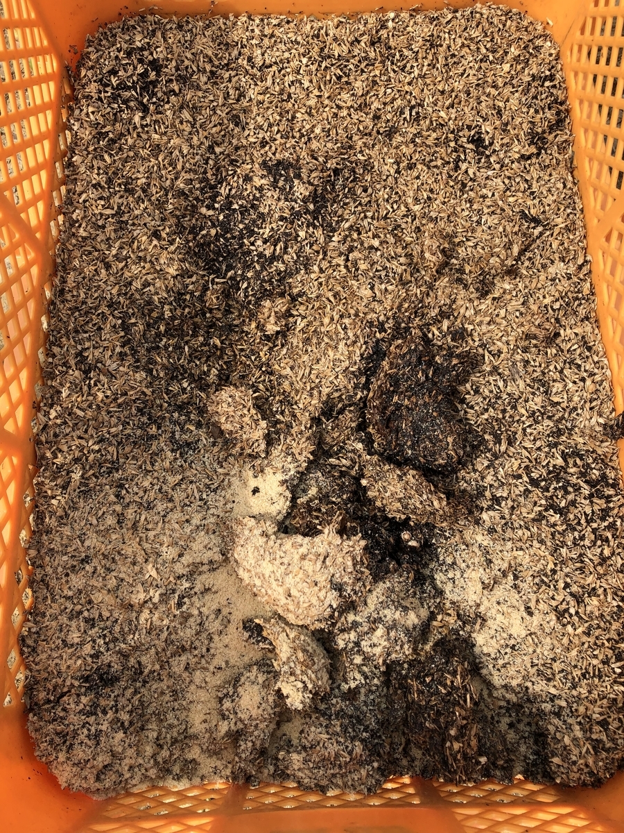 f:id:walashi:20190610234432j:plain