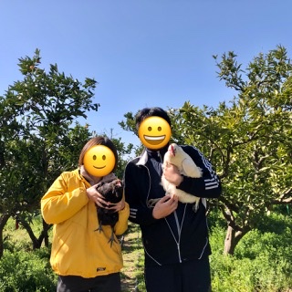 f:id:walashi:20210211220320j:plain