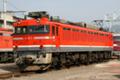 EF81-5