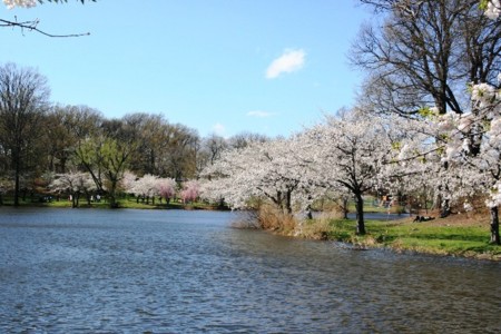 20110425004420