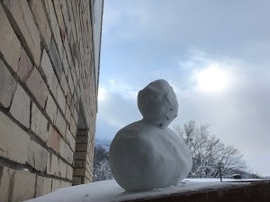 f:id:waldberg889:20190101160541j:image f:id:waldberg889:20190101160541j:image