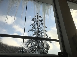 f:id:waldberg889:20190110070842j:image f:id:waldberg889:20190110070842j:image