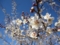 20120324215006