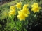 20120408180819