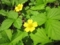 20120605223716