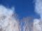 20130130195448