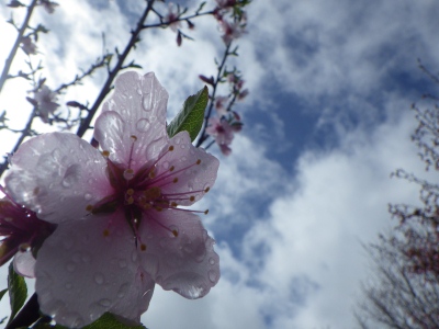 20130407202715
